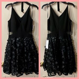 Xscape Women's Applique Mesh Fit & Flare Dress (Black/Nude) New Years Eve Beauty